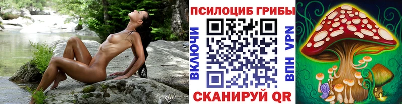 Псилоцибиновые грибы ЛСД Саянск