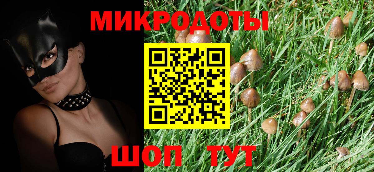 Галлюциногенные грибы ЛСД Саянск