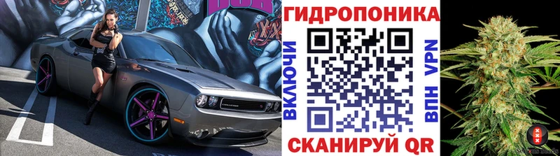 Шишки марихуана сатива Саянск